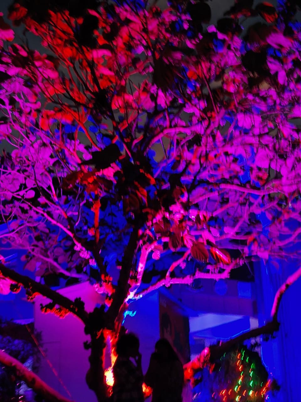 Nehru College of Engineering and Research Centre Thrissur Events photo 1